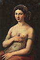 RAFFAELLO SANZIO (1483-1520) - la fornarina